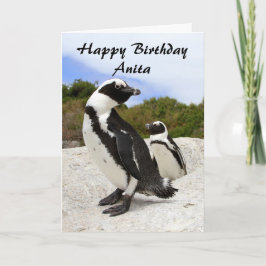 Cartão Anita Happy Birthday African Penguins Humor Card