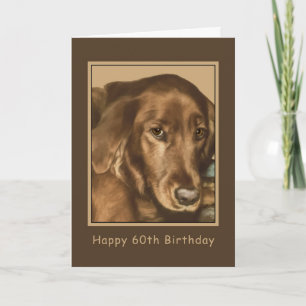 Cartão Aniversário, 60º, Ouro Cão Irlandês