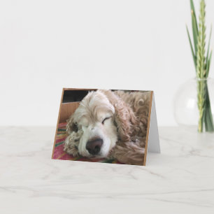 CARTÃO * ANIVERSÁRIO 70* HA HA HA (HUMOR ENGRAÇADO DE CAC