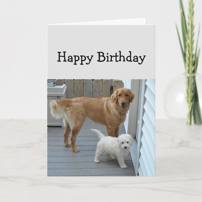 Cartão Aniversário Ajuda a Comer Humor de Cachorro Bolo (Frente)