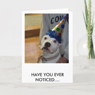 Cartão aniversário americano do buldogue