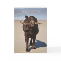 Aniversário Apenas Para Você