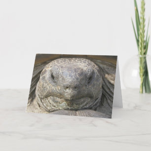 Cartão Aniversário atrasado