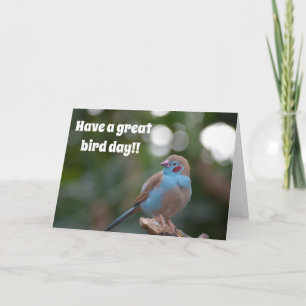 Cartão Aniversário bonito e azul