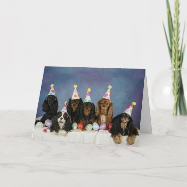 Cartão Aniversário Cav-tastic (Frente)