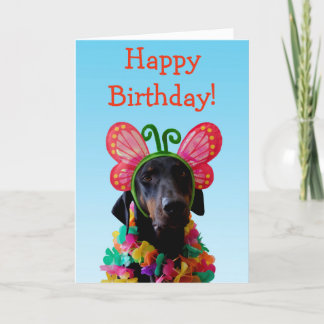 Cartão Aniversário da borboleta de cão do Doberman