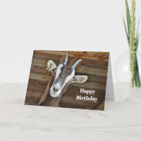 Aniversário da Foto Castanho e Capim Branco