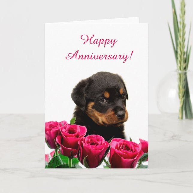 Cartão Aniversário da Rosa da Cupada de Rottweiler (Frente)