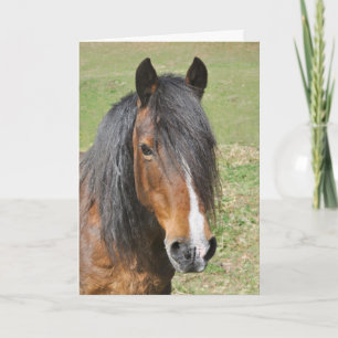 Cartão Aniversário da Seção D do País de Gales