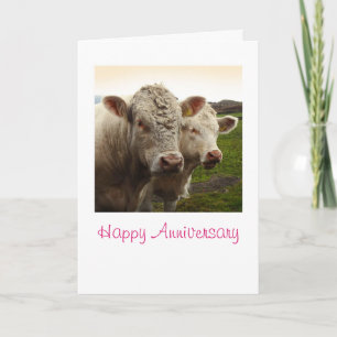 Cartão Aniversário das vacas