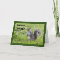 **ANIVERSÁRIO DE 13** DESEJOS DO COMEDIC SQUIRREL