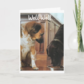 Cartão *aniversário de 21 anos* HUMOR DOS CÃES!