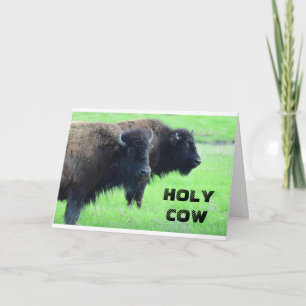 Cartão ****aniversário de 40 anos*** DA COMEDIÇÃO BUFFALO