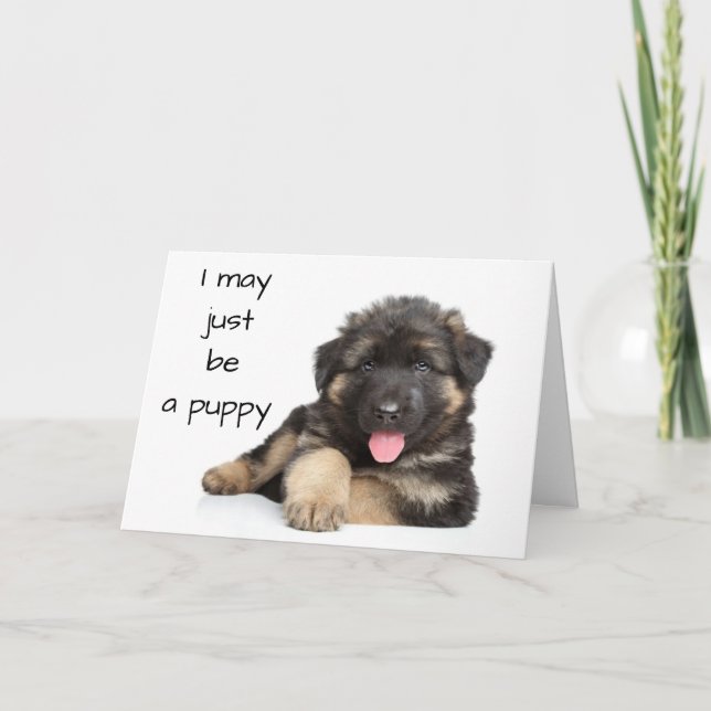 Cartão *aniversário de 40 anos* DE UM PUP QUE SABE (Frente)