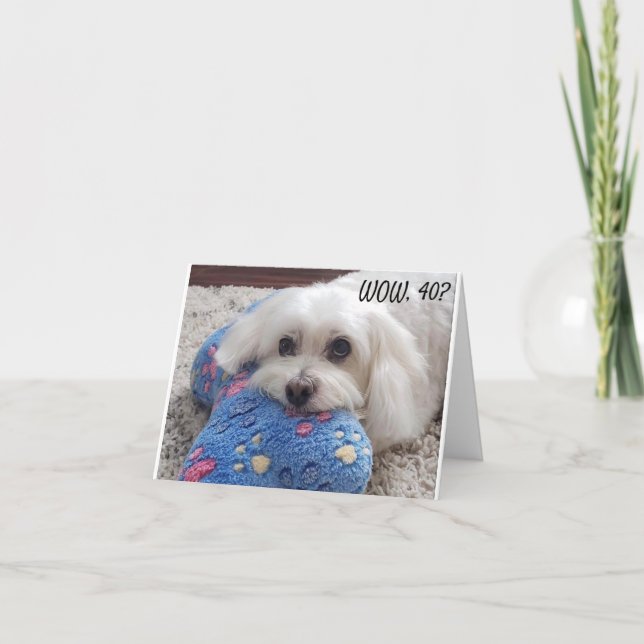 Cartão * aniversário de 40 anos* HA HA HA HA (HUMOR ENGRA (Frente)