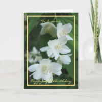 aniversário de 40 anos Jasmine Flores Elegante Dou