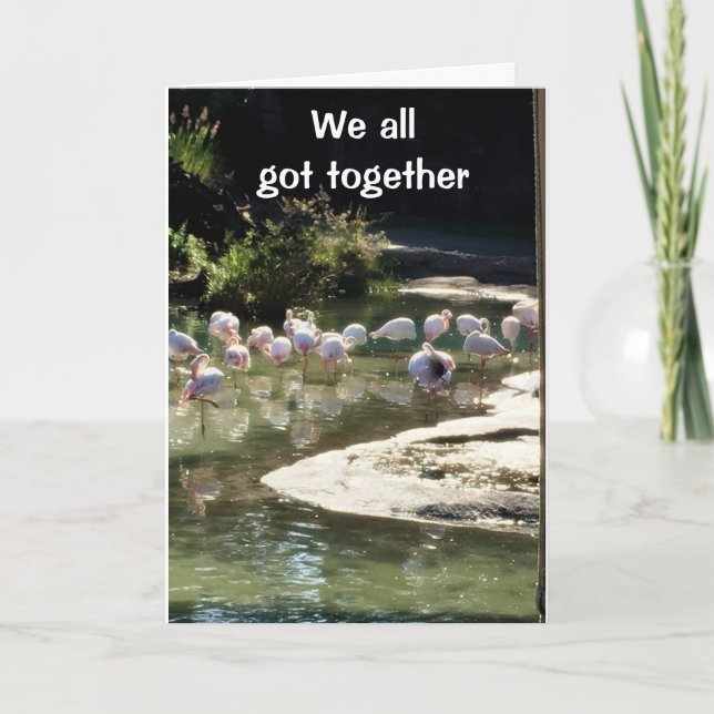 Cartão "aniversário de 40 anos WISHES" DE "TODOS" DA Plac (Frente)