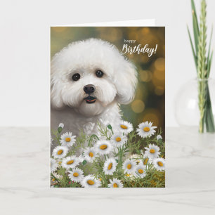 Cartão Aniversário de Cachorro Bichon Frise com Margarida
