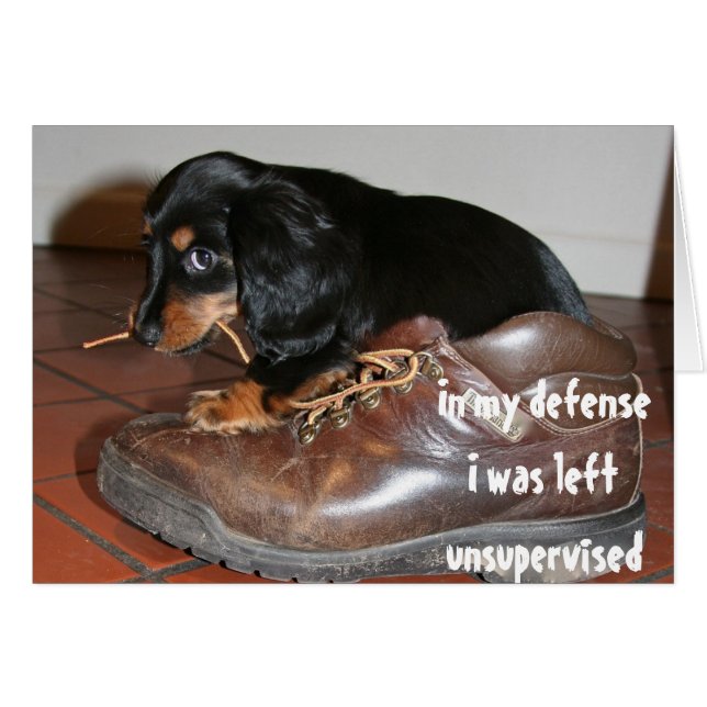 Cartão Aniversário De Cachorro Filhote Roendo  Divertido (Frente Horizontal)