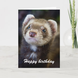 Cartão aniversário de Ferret