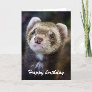 Cartão aniversário de Ferret