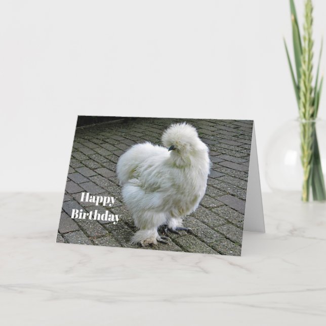 Cartão Aniversário de Foto Silkie Branca de Frango (Frente)