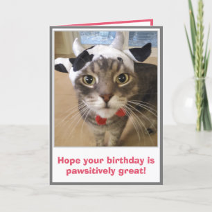 Cartão Aniversário de Gato Divertido