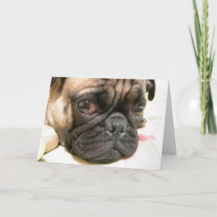 Cartão Aniversário de Idade Não Feliz, Humor com Cão