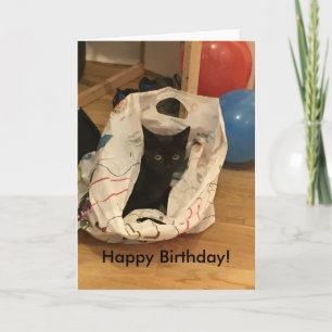Cartão Aniversário de Imagem de Cat Personalizada