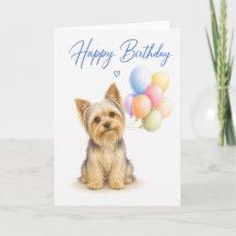 Aniversário de Yorkshire Terrier