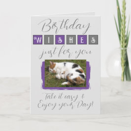 Cartão Aniversário deseja adicionar cinza de gato roxo