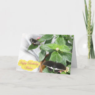 Cartão Aniversário Desejos - Borboleta