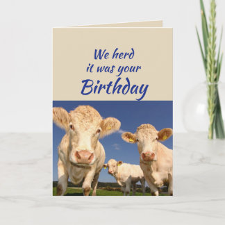 Cartão Aniversário Divertido Do Grupo Vaca Humor Animal