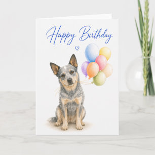 Cartão Aniversário do Australian Cattle Dog