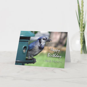 Cartão Aniversário do Birth Mãe, Blue Jay no Bird Feede