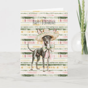 Cartão Aniversário do Cão Chihuahua de Listras Rosa Verde