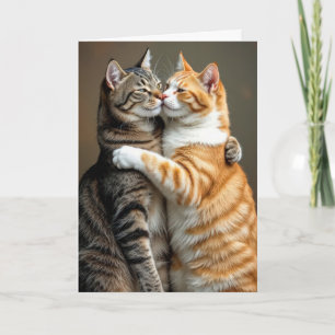 Cartão Aniversário do Casal Cat Hugging