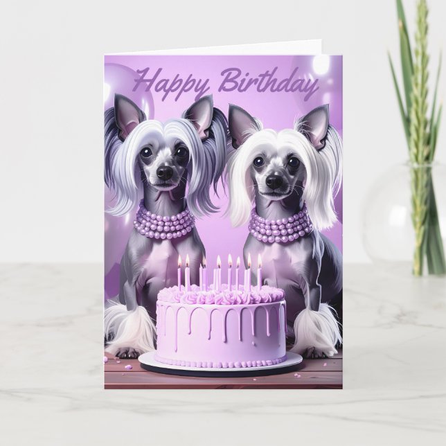 Cartão Aniversário do Crista Chinesa (Frente)