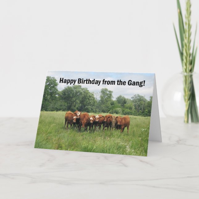 Cartão Aniversário Do Grupo (Frente)