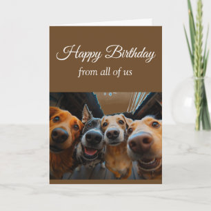 Cartão Aniversário do Grupo Cachorros Divertidos Animais