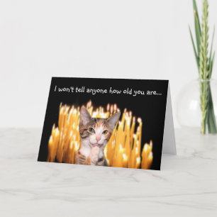 Cartão Aniversário do "Hill cat"