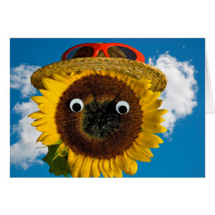 Cartão Aniversário do humor do girassol do verão