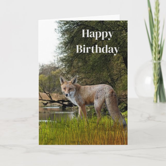 Cartão Aniversário do Men Red Fox Willife and Nature (Frente)