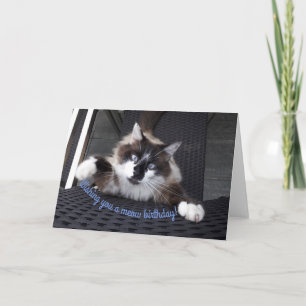 Cartão Aniversário do Meow!