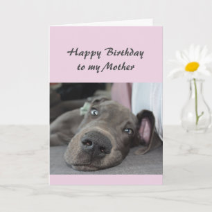 Cartão Aniversário do meu Cão de Diversão da Mãe Rela