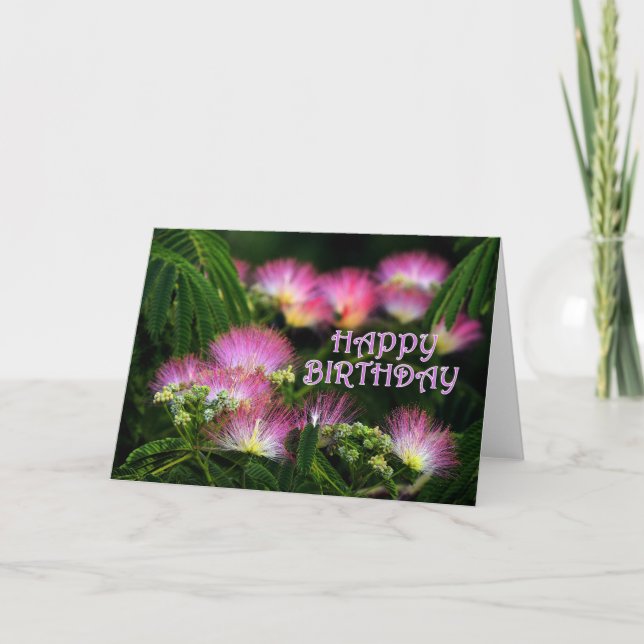 Cartão Aniversário do Mimosa (Frente)