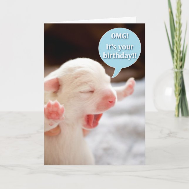 Cartão Aniversário do OMG! (Frente)