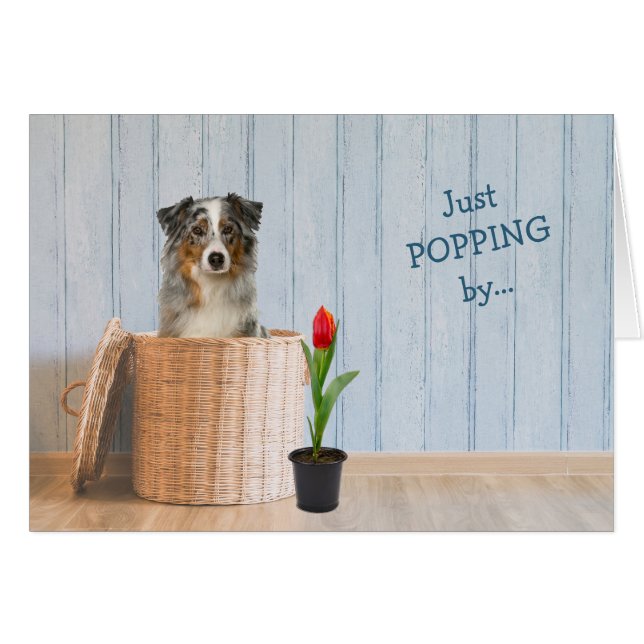 Cartão Aniversário do Pastor Australiano de Cachorro (Frente Horizontal)