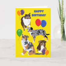 Aniversário do Pastor Australiano e dos Balões