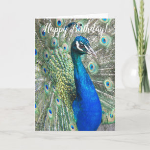 Cartão Aniversário do Pavão Azul Lindo